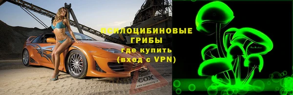 стаф Алзамай