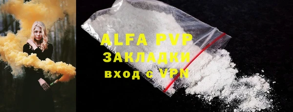 стаф Алзамай