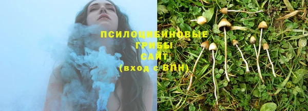 трава Абинск