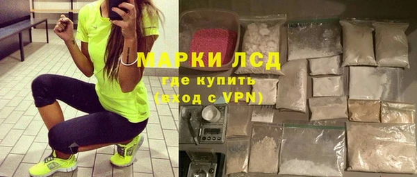 стаф Алзамай