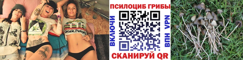 Галлюциногенные грибы GOLDEN TEACHER  Вологда 