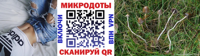 Галлюциногенные грибы ЛСД Вологда
