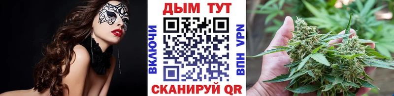 купить   Вологда  Бошки марихуана Amnesia 
